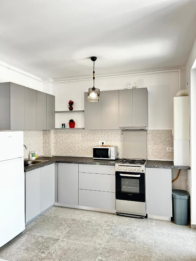 טימישוארה Apartment Mara 2 מראה חיצוני תמונה